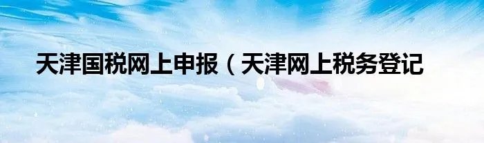 天津国税网上申报（天津网上税务登记