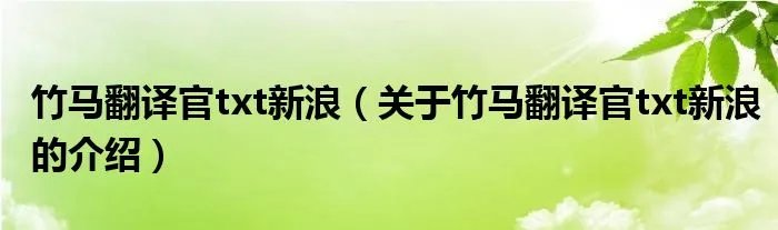 竹马翻译官txt新浪（关于竹马翻译官txt新浪的介绍）