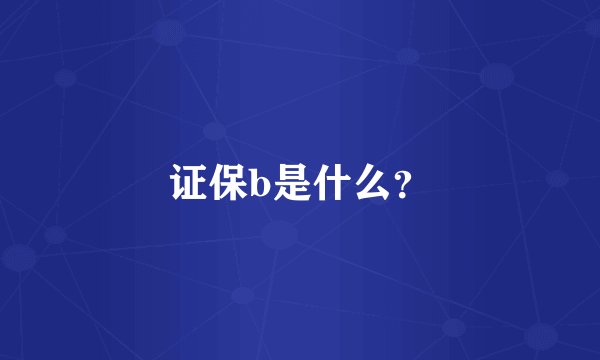 证保b是什么？