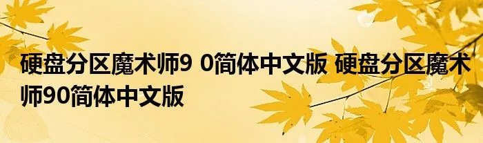 硬盘分区魔术师9 0简体中文版 硬盘分区魔术师90简体中文版