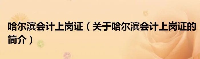 哈尔滨会计上岗证（关于哈尔滨会计上岗证的简介）