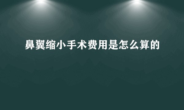 鼻翼缩小手术费用是怎么算的