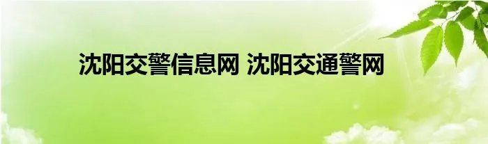 沈阳交警信息网 沈阳交通警网
