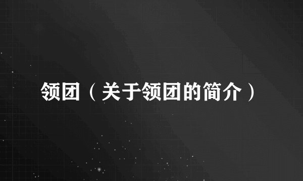 领团（关于领团的简介）