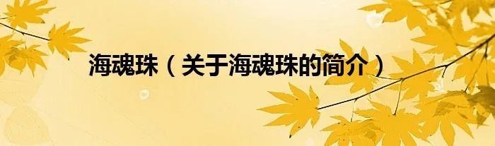 海魂珠（关于海魂珠的简介）