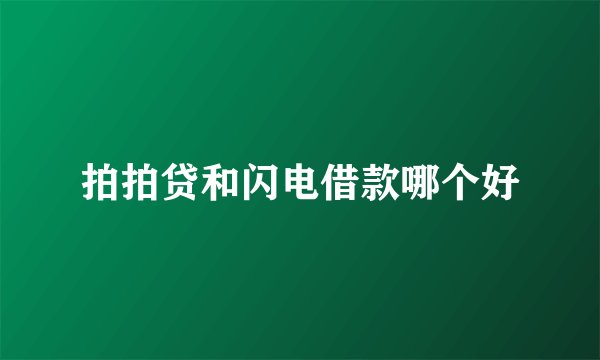 拍拍贷和闪电借款哪个好