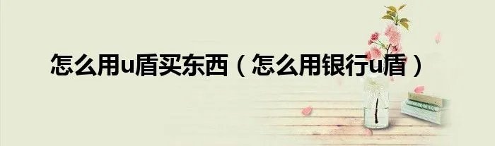 怎么用u盾买东西（怎么用银行u盾）