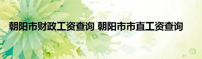 朝阳市财政工资查询 朝阳市市直工资查询