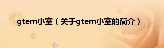 gtem小室（关于gtem小室的简介）