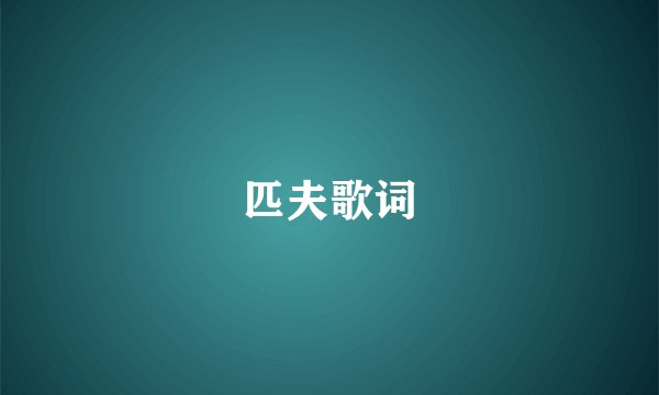 匹夫歌词
