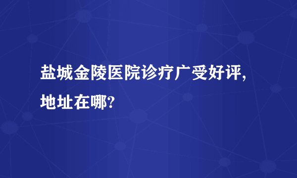 盐城金陵医院诊疗广受好评,地址在哪?