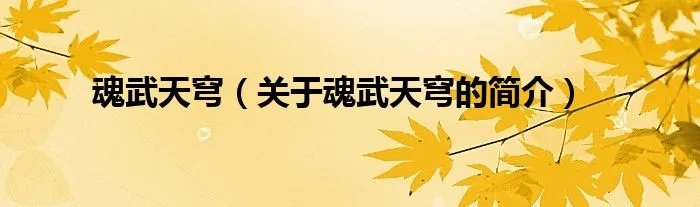 魂武天穹（关于魂武天穹的简介）