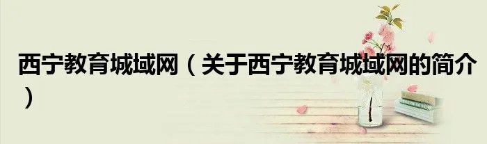 西宁教育城域网（关于西宁教育城域网的简介）