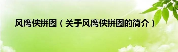 风鹰侠拼图（关于风鹰侠拼图的简介）