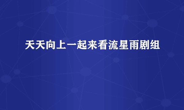 天天向上一起来看流星雨剧组