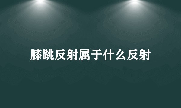 膝跳反射属于什么反射