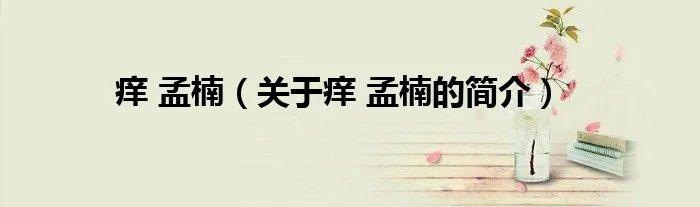 痒 孟楠（关于痒 孟楠的简介）