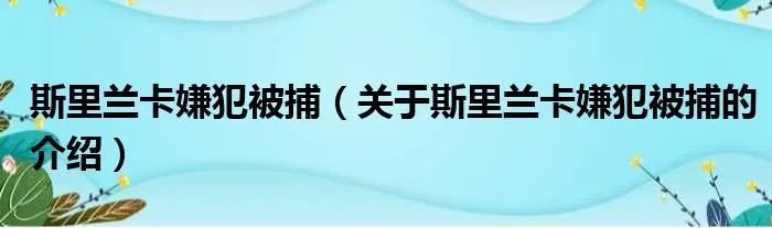 斯里兰卡嫌犯被捕（关于斯里兰卡嫌犯被捕的介绍）
