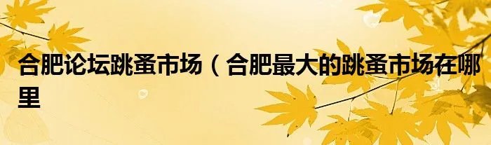 合肥论坛跳蚤市场（合肥最大的跳蚤市场在哪里