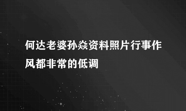 何达老婆孙焱资料照片行事作风都非常的低调