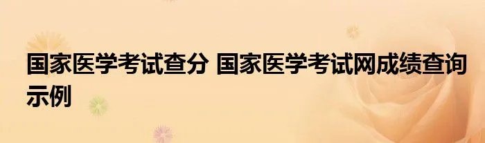 国家医学考试查分 国家医学考试网成绩查询示例