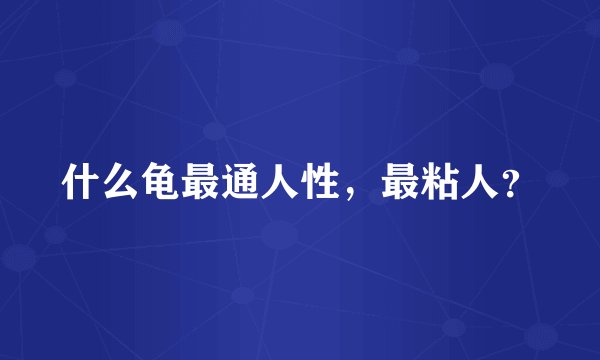 什么龟最通人性，最粘人？