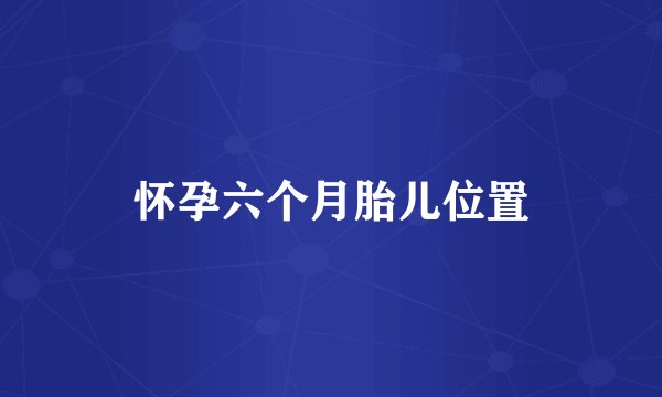 怀孕六个月胎儿位置