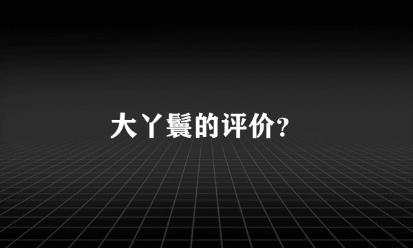 大丫鬟的评价?
