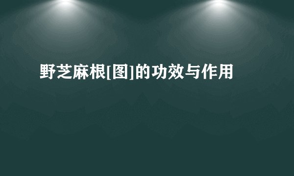 野芝麻根[图]的功效与作用