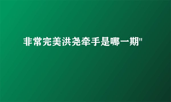 非常完美洪尧牵手是哪一期