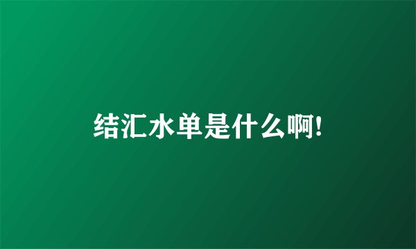 结汇水单是什么啊!