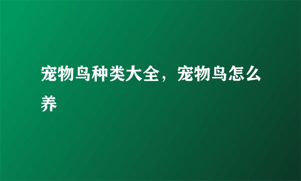 宠物鸟种类大全，宠物鸟怎么养