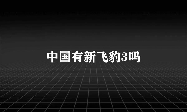 中国有新飞豹3吗