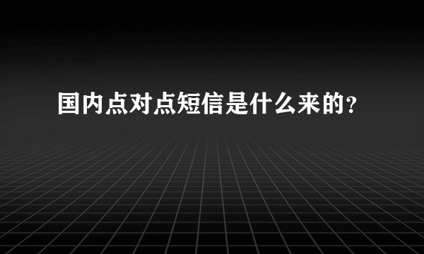 国内点对点短信是什么来的？
