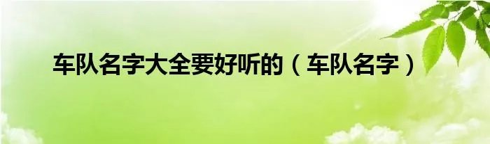 车队名字大全要好听的（车队名字）