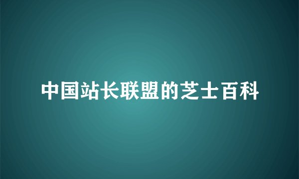 中国站长联盟的芝士百科