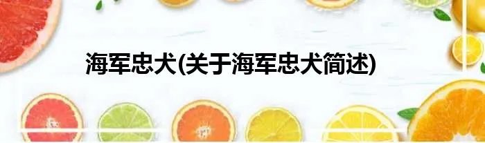 海军忠犬(关于海军忠犬简述)