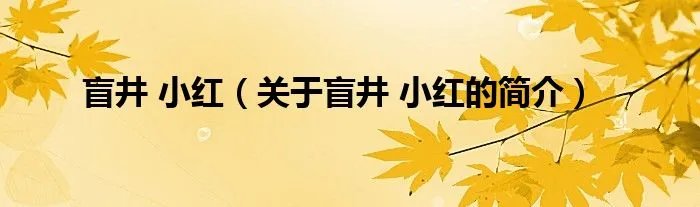 盲井 小红（关于盲井 小红的简介）