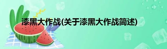 漆黑大作战(关于漆黑大作战简述)
