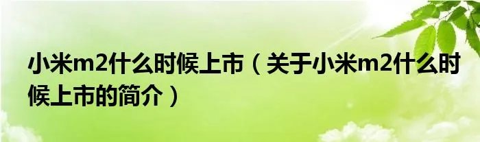 小米m2什么时候上市（关于小米m2什么时候上市的简介）