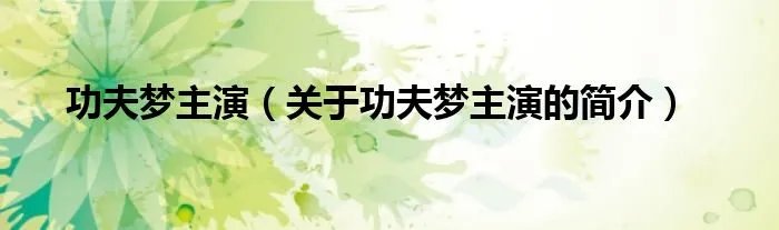 功夫梦主演（关于功夫梦主演的简介）