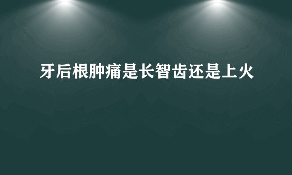 牙后根肿痛是长智齿还是上火