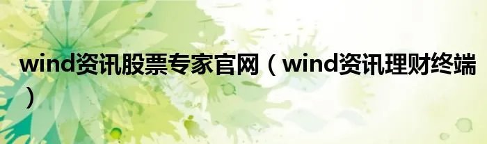 wind资讯股票专家官网（wind资讯理财终端）