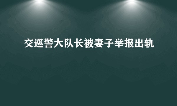 交巡警大队长被妻子举报出轨