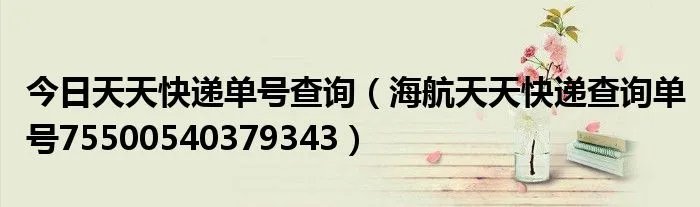 今日天天快递单号查询(海航天天快递查询单号75500540379343)