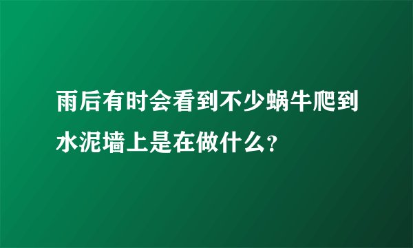 雨后有时会看到不少蜗牛爬到水泥墙上是在做什么？