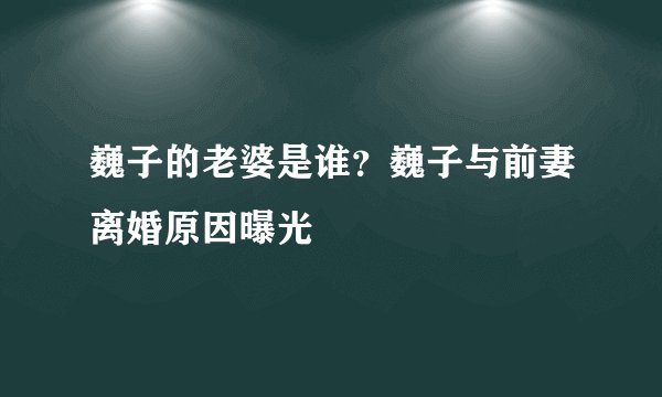 巍子的老婆是谁?巍子与前妻离婚原因曝光