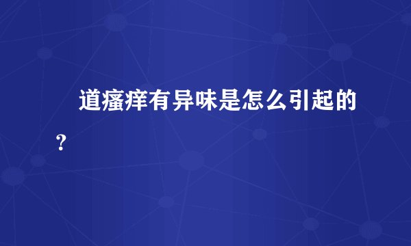 隂道瘙痒有异味是怎么引起的？