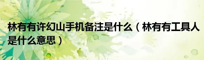 林有有许幻山手机备注是什么（林有有工具人是什么意思）