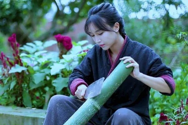 律师称李子柒维权难度较大,这是为什么?